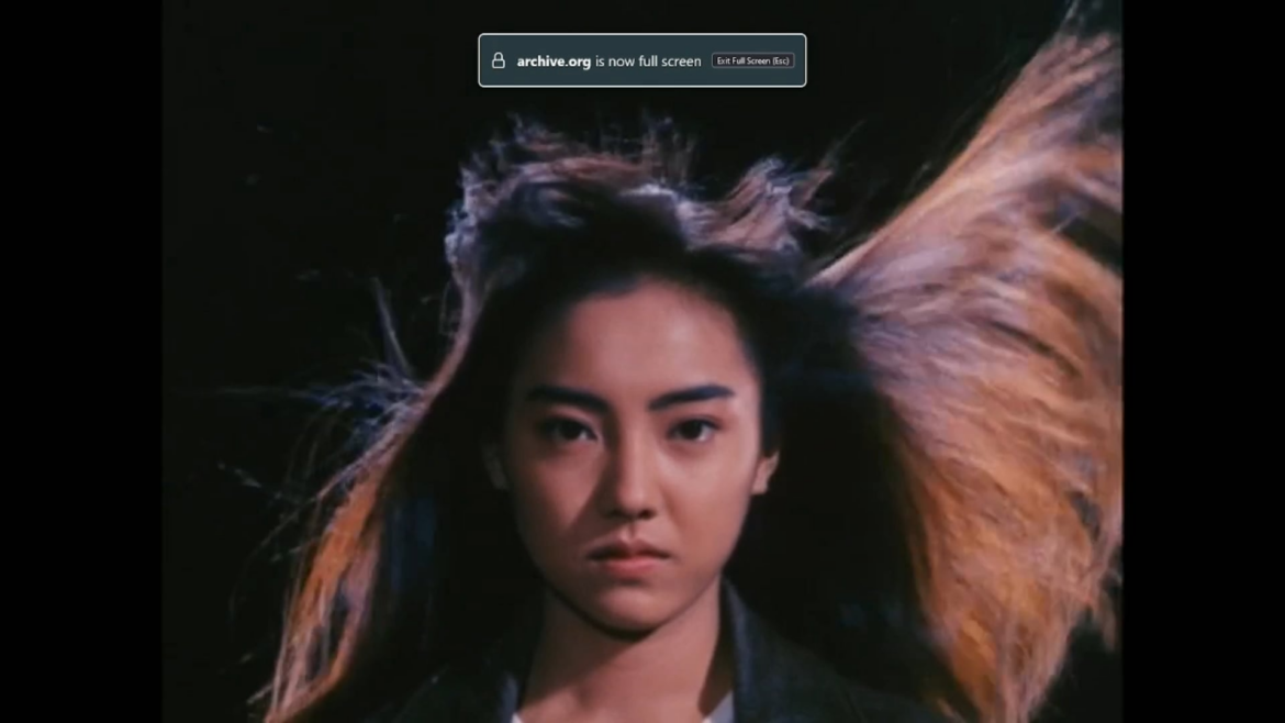 The Sukeban genre was wild men