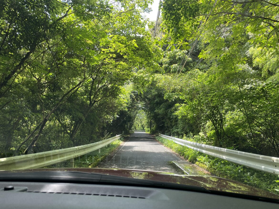 Country drive in Fukuoka. So green