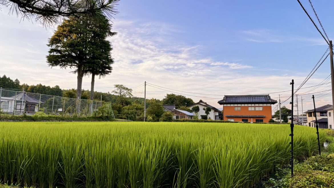 A little bucolic scene from Gotemba from last night.
