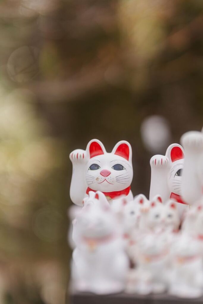 Classic Gotokuji snap