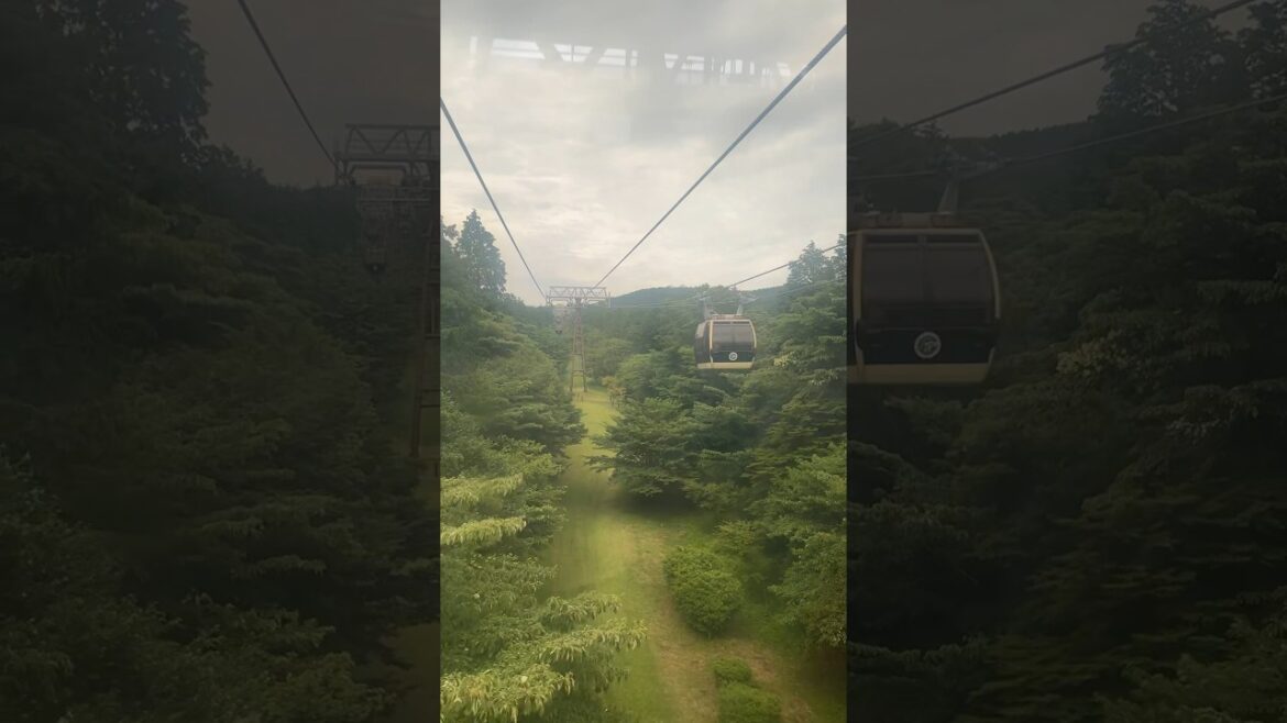 Japan Ropeway Mount Fuji #cable #hakone #japan  #tokyo #shorts #fyp #travel #nature #ropeway #fuji Japan Ropeway Mount Fuji #cable #hakone #japan  #tokyo #shorts #fyp #travel #nature #ropeway #fuji