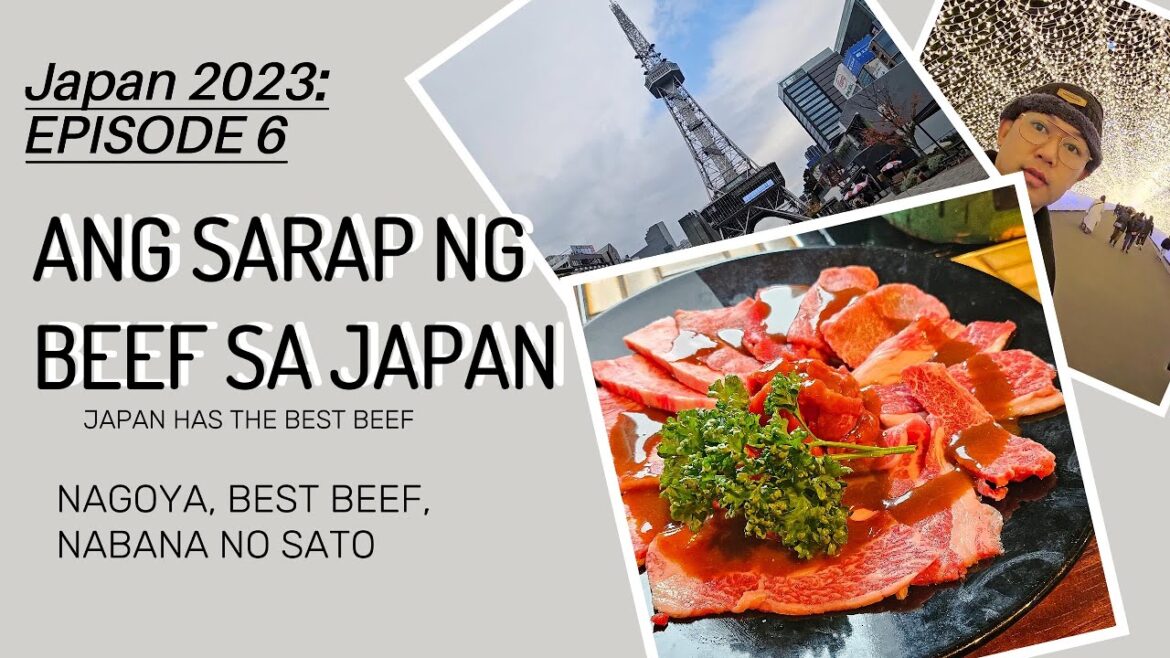 Japan 2023 Episode 6. Let’s Go Back to Nagoya & Eat Japanese Beef. Japan 2023 Episode 6. Let's Go Back to Nagoya & Eat Japanese Beef.