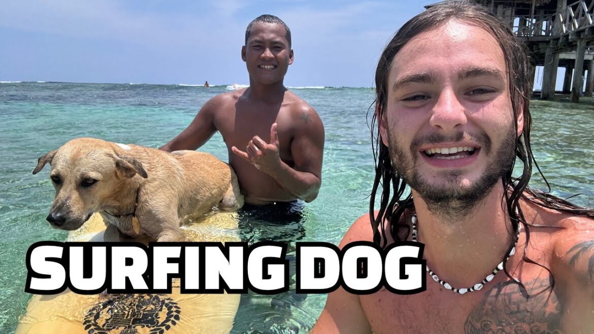 CRAZY Beach Vlog on FAMOUS Surf Island