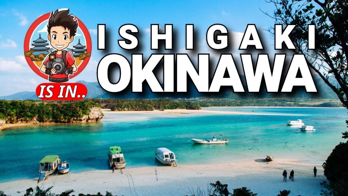 I Drove a Car in Japan For the FIRST TIME