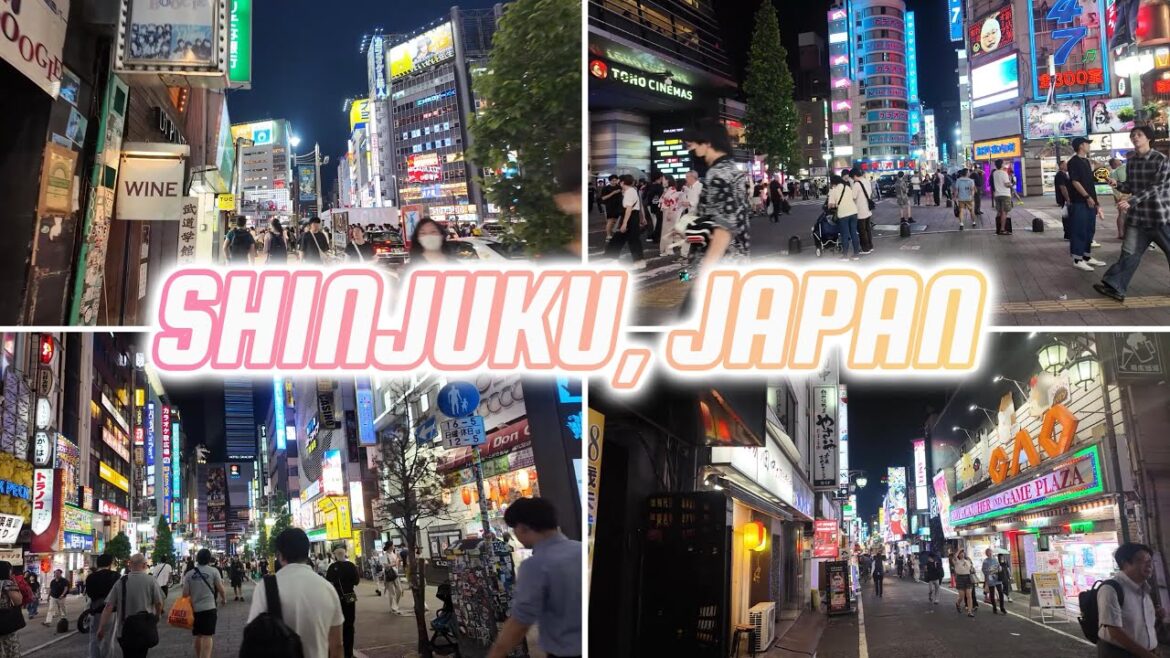 4K- SHINJUKU NIGHT WALKING TOUR