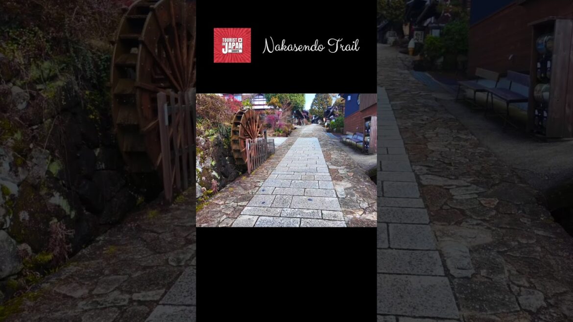 Exploring the Nakasendo Trail: The Samurai Road (#shorts) Exploring the Nakasendo Trail: The Samurai Road (#shorts)