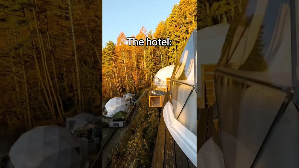 Get the BEST view of Mt Fuji from this Hotel! #japantrip #japantravel #mountfujiview #mtfuji