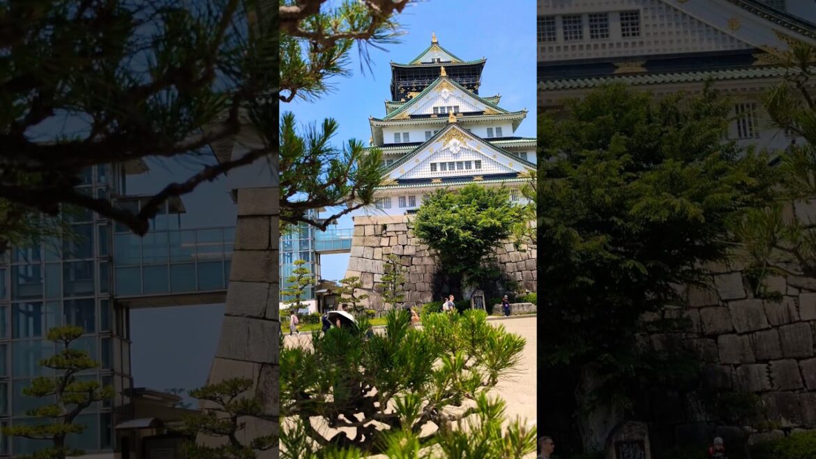 【大阪城】 Discover the Majestic Osaka Castle () 🌟🏯🌸 A must-see on your trip to Japan ✈️✨ #japantravel 【大阪城】 Discover the Majestic Osaka Castle () 🌟🏯🌸 A must-see on your trip to Japan ✈️✨ #japantravel