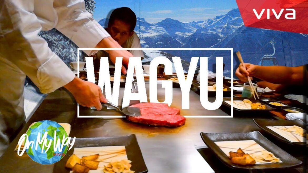 ENAK BANGET! Salju Jepang & Daging Wagyu Premium