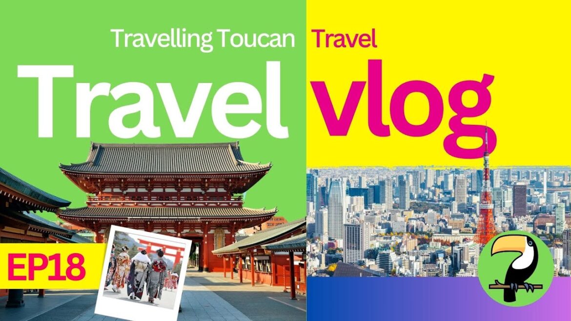 Top 10 Tokyo Hotels Voted by Travelers (on Tripadvisor)! 🏨✨ |🦜 #TheTravellingToucan EP18