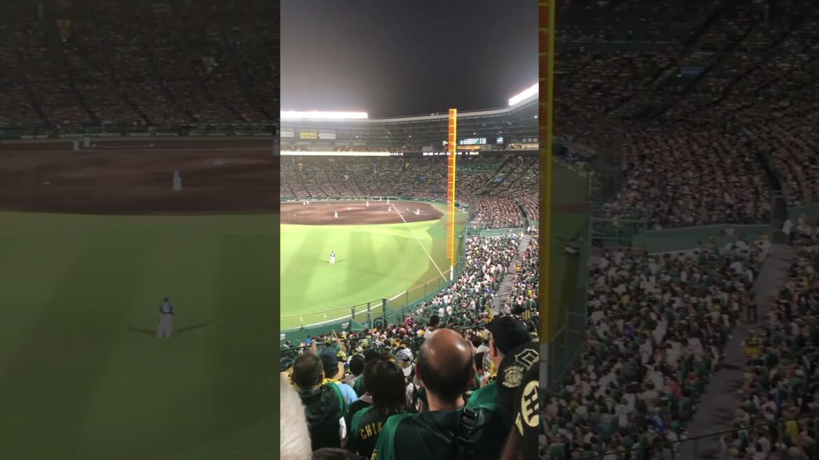 【Kobe】Must-See Enthusiastic Tourist Attraction - Koshien Stadium