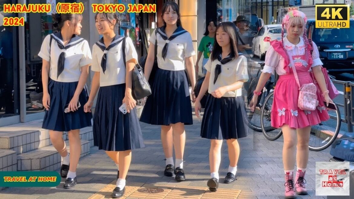 4k hdr japan travel 2024 | Walk in Harajuku（原宿）Tokyo Japan |  Relaxing Natural City ambience