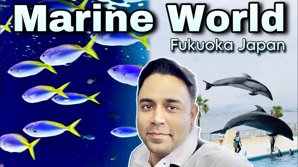 Marine World Fukuoka tour Hindi/Urdu | Pakistani in Japan Marine World Fukuoka tour Hindi/Urdu | Pakistani in Japan