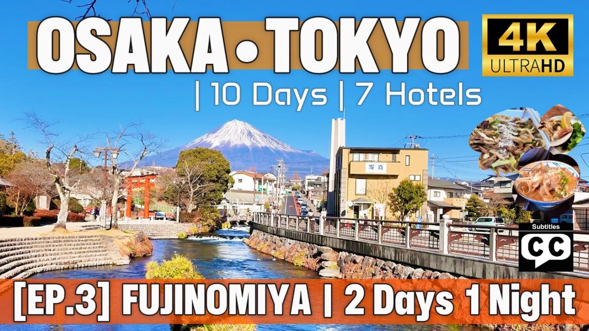 [EP.3] Osaka to Tokyo 10 Days 7 Hotels  Fujinomiya 1 Night [Vlog]