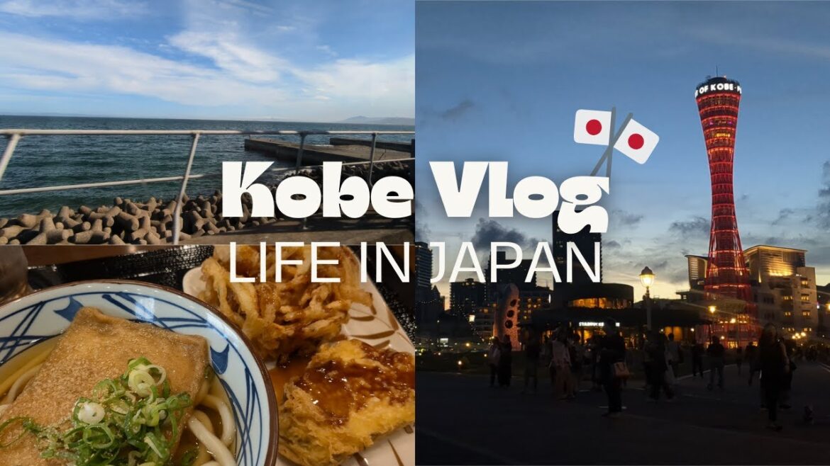 A DAY IN KOBE, JAPAN | Train around the Osaka bay, udon restaurant and Kobe Harbour
