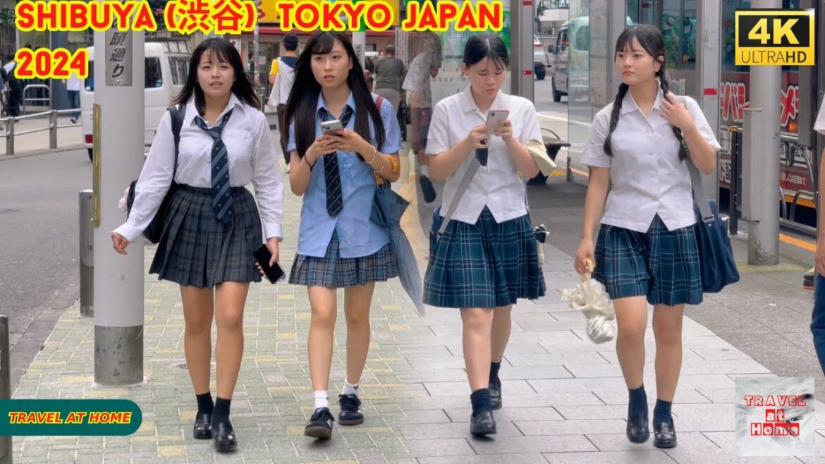 4k hdr Japan travel 2024 | Walk in Shibuya (渋谷) Tokyo Japan |  Relaxing Natural City ambience