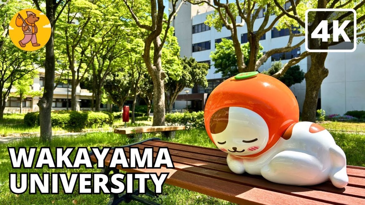 4K Wakayama University Walking Tour | 和歌山大学