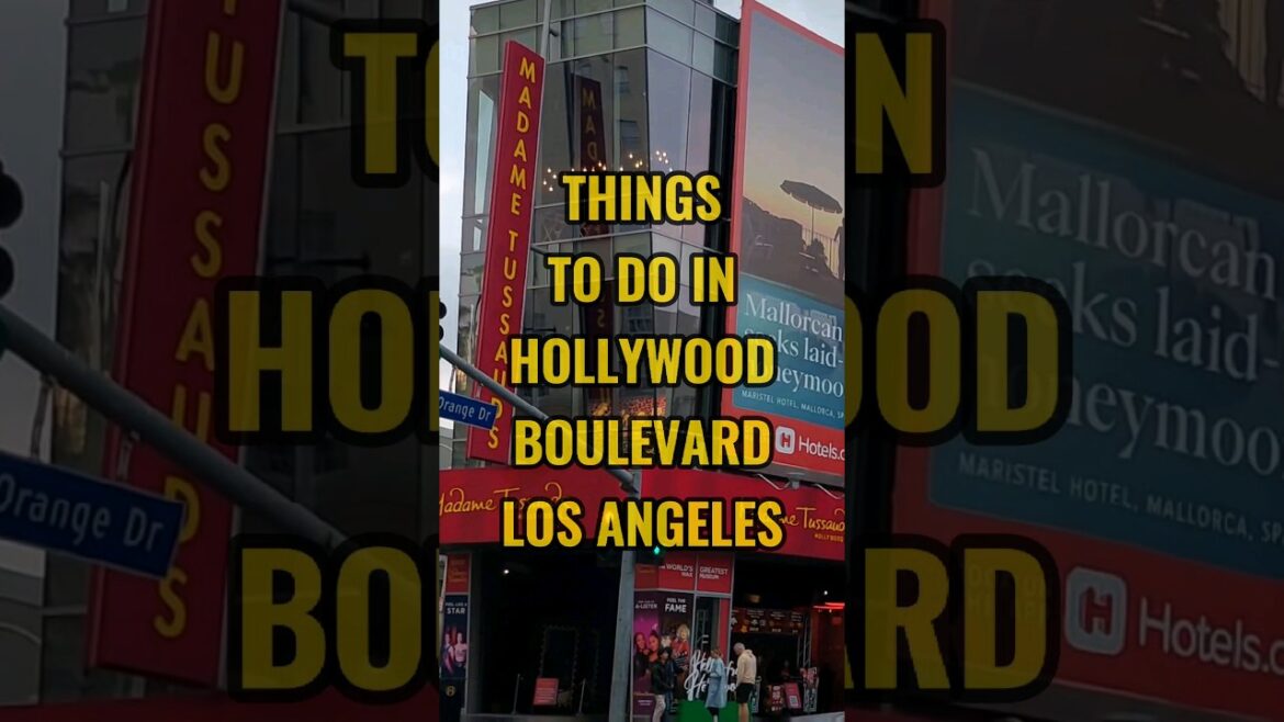 Explore Hollywood Boulevard: Guide to LA's Famous Strip | Walk of Fame & Iconic Spots #shorts #reels