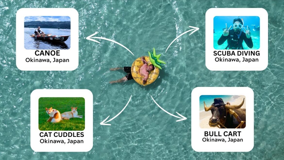I Tried 4 MUST DO Okinawa Activities Japanese LOVE I Tried 4 MUST DO Okinawa Activities Japanese LOVE