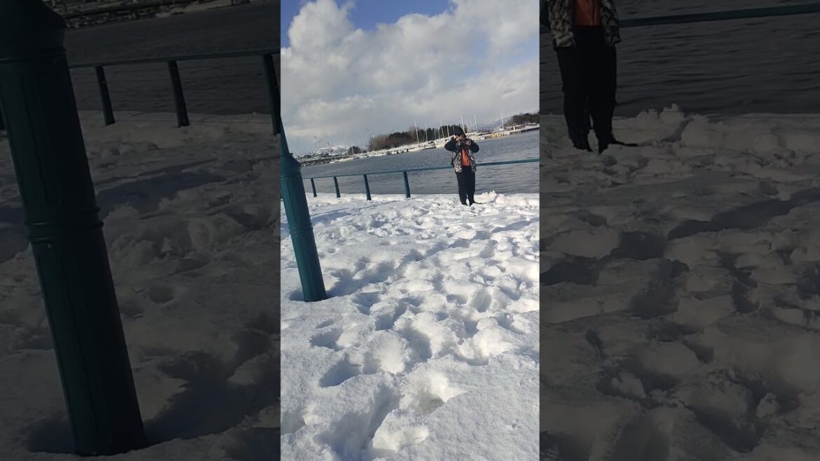 Travel Japan | Hakodate Bay area | Having fun with Thick Accumulated Snow at the Bay area