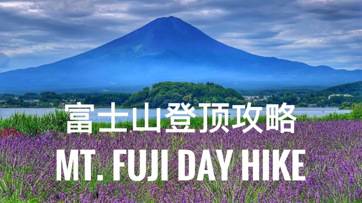 MOUNT FUJI Summit Full Hiking Tour 2024 MOUNT FUJI Summit Full Hiking Tour 2024