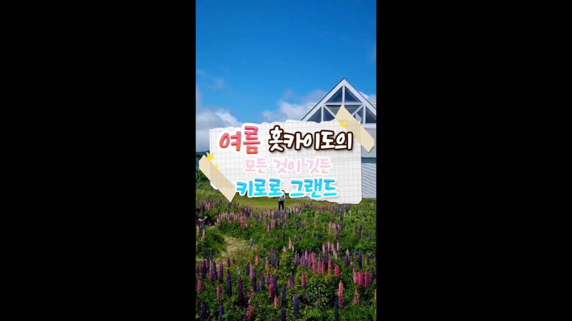 여름 홋카이도의 모든 것이 여기에!🍉클럽메드 키로로 그랜드✨ 여름 홋카이도의 모든 것이 여기에!🍉클럽메드 키로로 그랜드✨