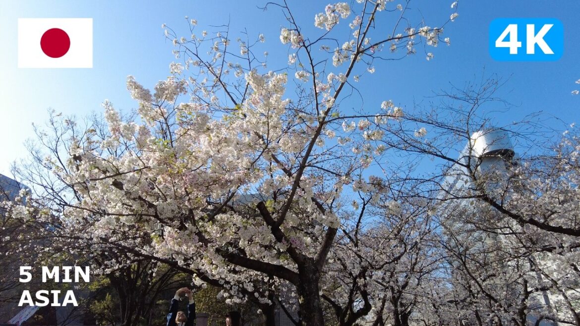 🇯🇵 Japan - Fukuoka: 5 Minutes Walking Tour - 4K