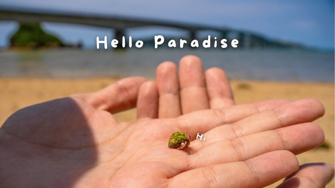 The Road Trip That Made Us Want to Stay Here | OKINAWA, Japan’s Subtropical PARADISE The Road Trip That Made Us Want to Stay Here | OKINAWA, Japan’s Subtropical PARADISE