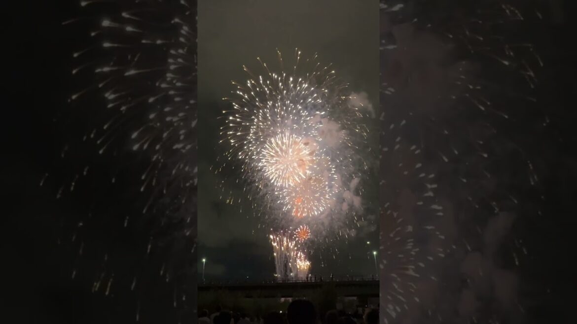 【北海道札幌】豊平川花火大会2024【道新・UHB花火大会】#shorts