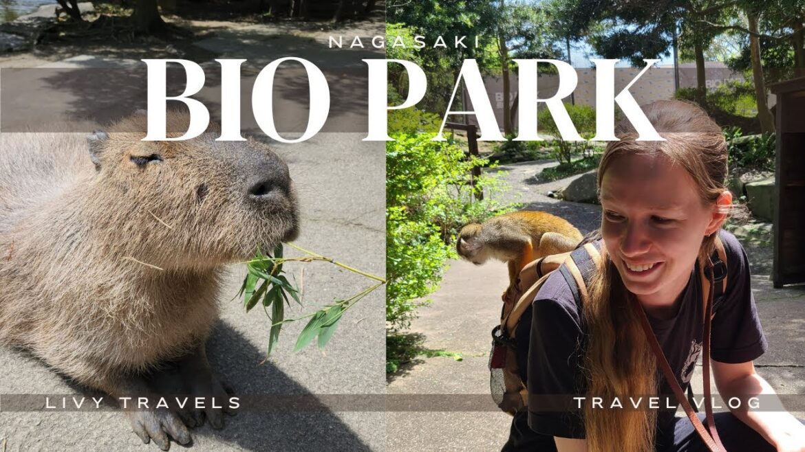 Giraffes, Capybaras, and Monkeys! Nagasaki Bio Park
