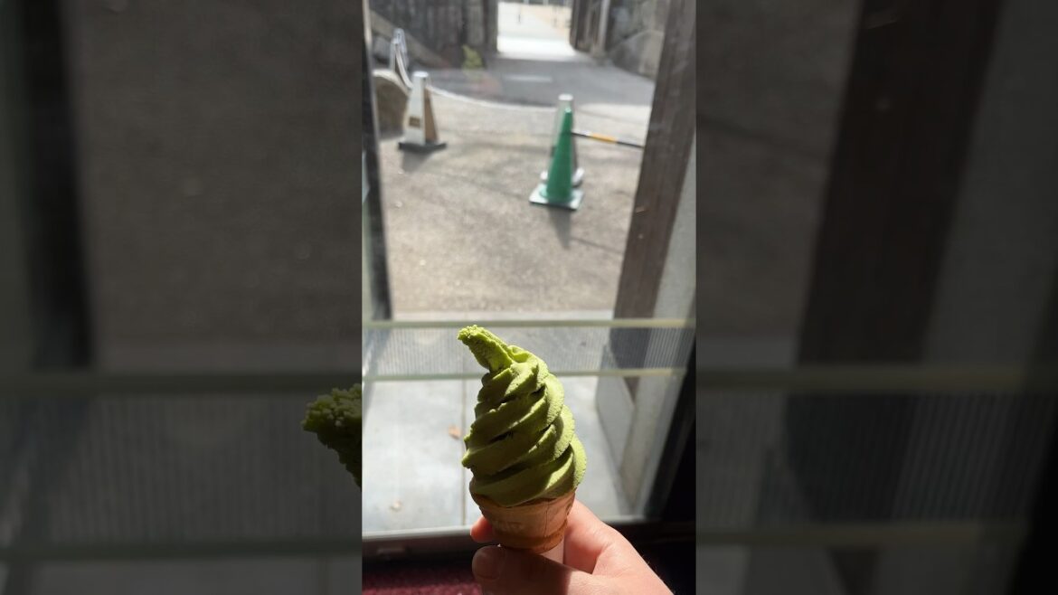 Getting #matcha #icecream in #nagoyacastle // #japan #nagoya #nagoyajapan #travel #japantravel #yt