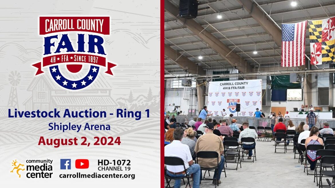 Carroll County 4-H & FFA Livestock Sale Ring 1 (Shipley Arena), 8-2-2024 Carroll County 4-H & FFA Livestock Sale Ring 1 (Shipley Arena), 8-2-2024