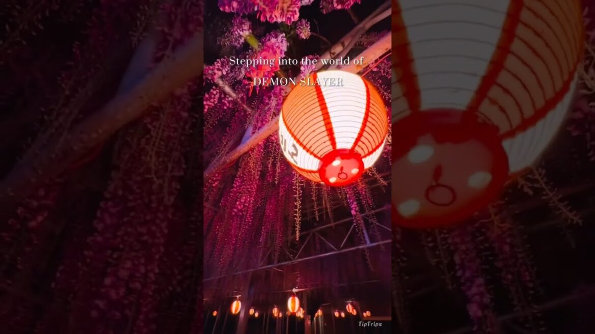 Destination - Japan #japantravel #japanese #kyoto #tokyo #traveldestinations #travel