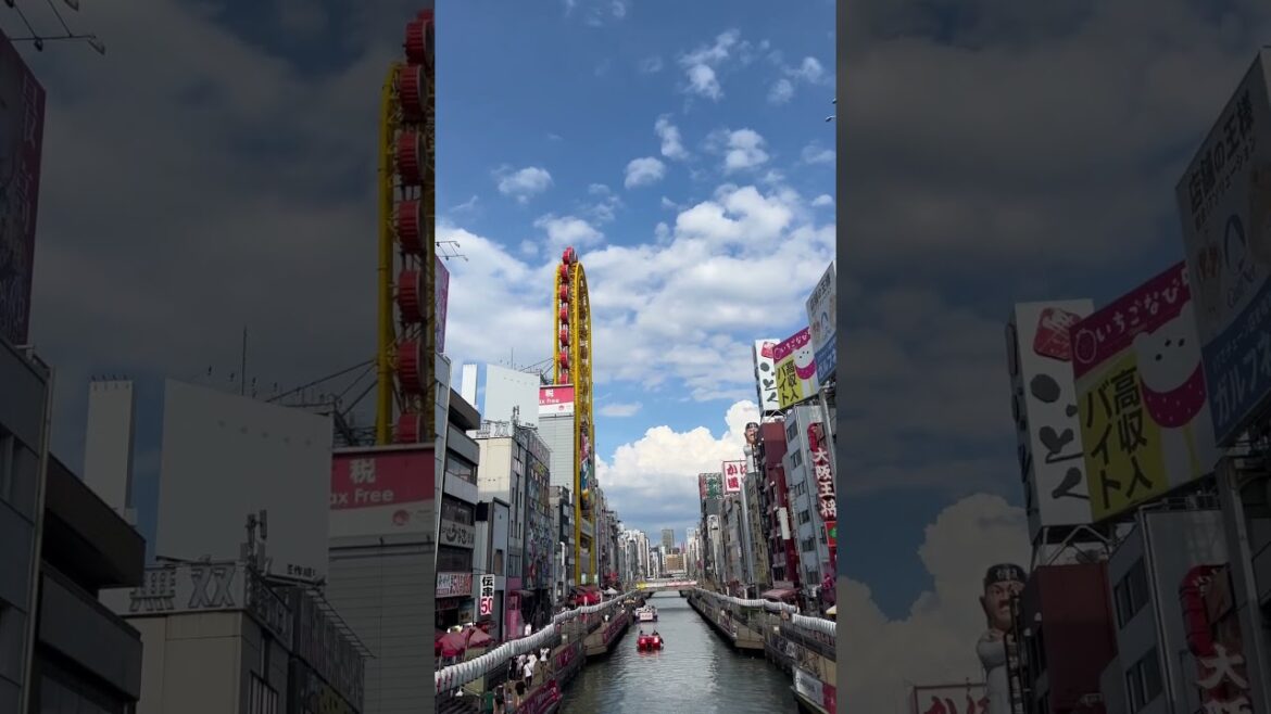 레디투캠핑 in Osaka #osaka #trip #shorts