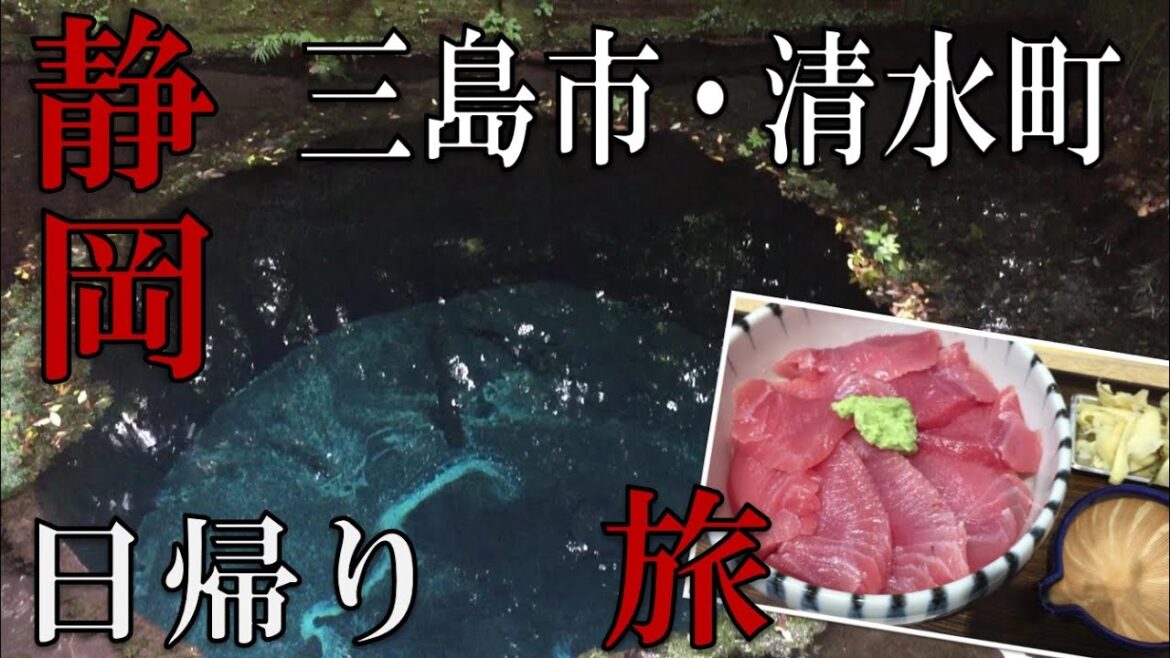 【静岡】【海鮮】静岡、三島市・清水町日帰りグルメ一人旅!A gourmet day trip to Shizuoka Mishima!【三島】【観光】 【静岡】【海鮮】静岡、三島市・清水町日帰りグルメ一人旅!A gourmet day trip to Shizuoka Mishima!【三島】【観光】