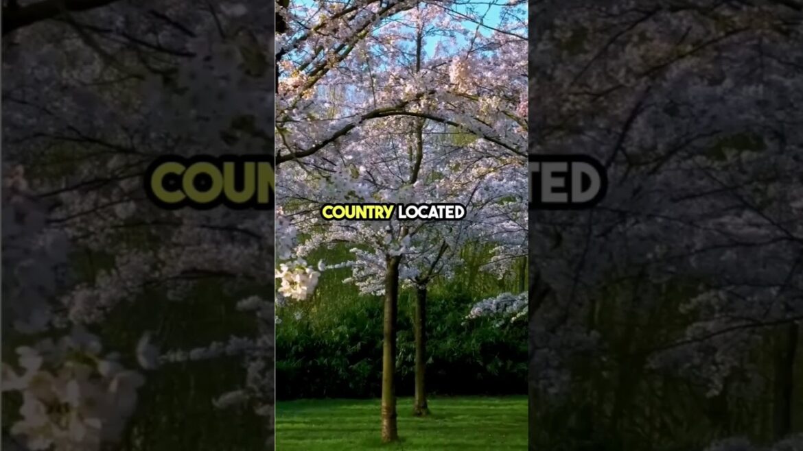 The 4 main islands that make up japan #shorts #japan