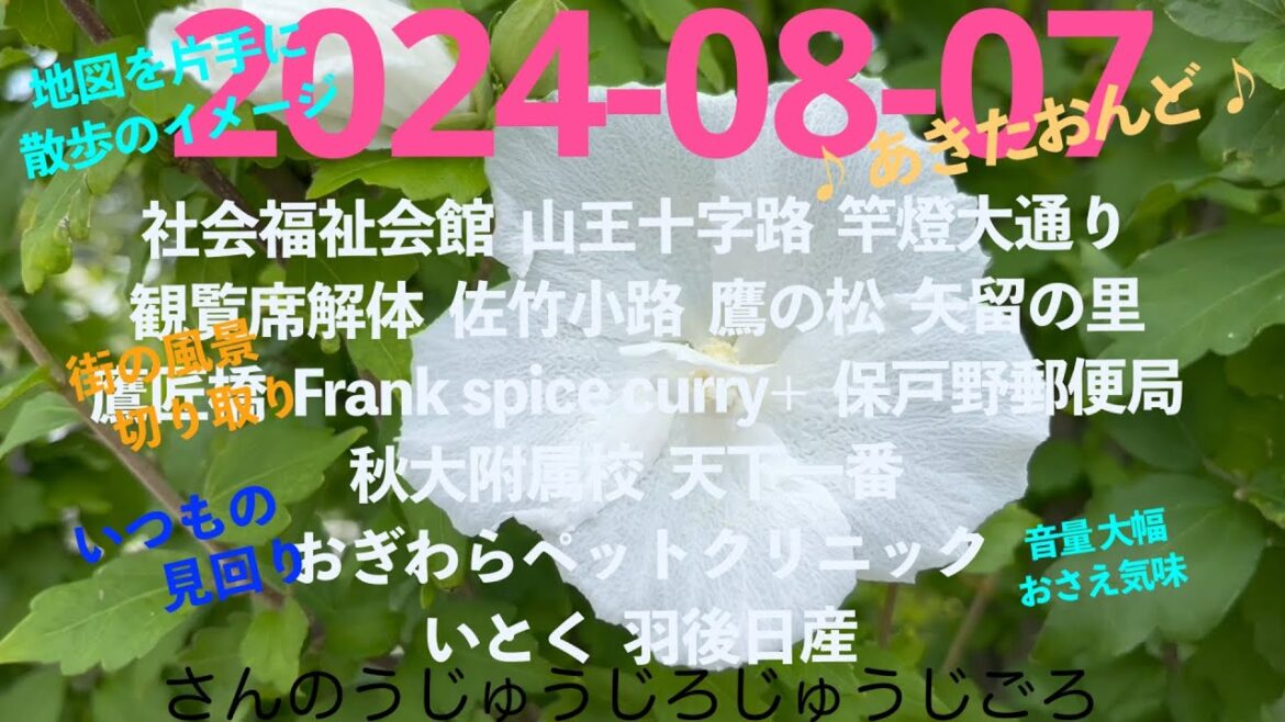 2024-08-07さんのうじゅうじろじゅうじごろ