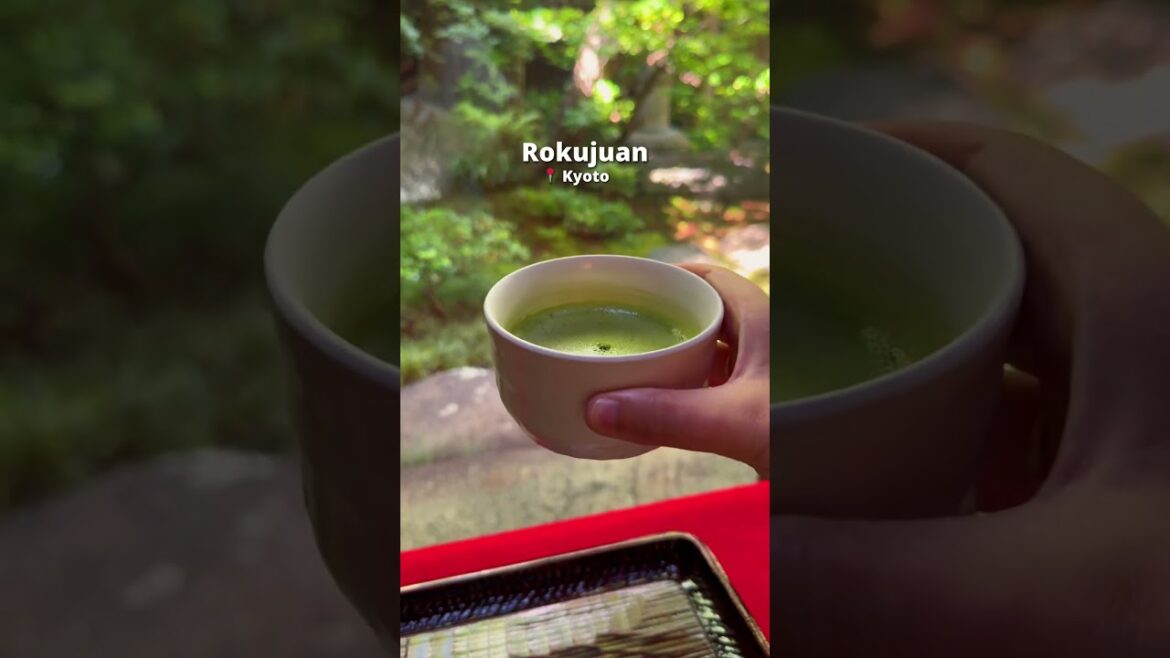 Discover Rokujuan - Kyoto