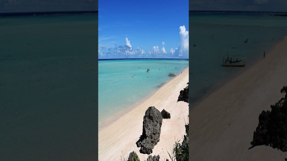 The Biggest White Sand Beach in Japan ? 😱😱 #oganeku #beach #japan #travel #yoron The Biggest White Sand Beach in Japan ? 😱😱 #oganeku #beach #japan #travel #yoron
