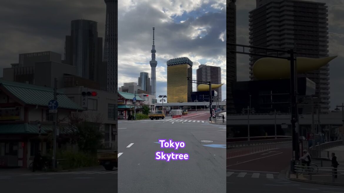 Tokyo Skytree #shorts #skytree #ytshortsindia #asakusa Tokyo Skytree #shorts #skytree #ytshortsindia #asakusa