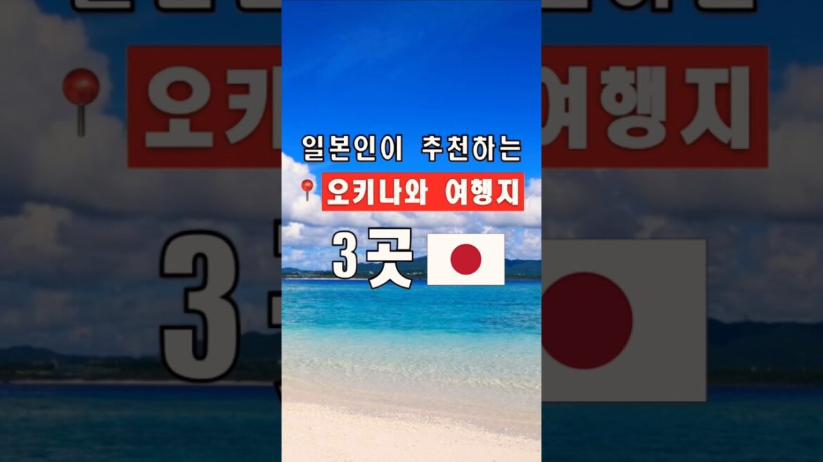 일본여행🇯🇵 일본인이 추천하는 오키나와 여행지 3곳 #shorts #일본여행 #오키나와 #오키나와여행