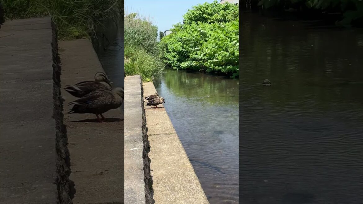 【函館】ひみつの休憩スポット#Shorts 【函館】ひみつの休憩スポット#Shorts