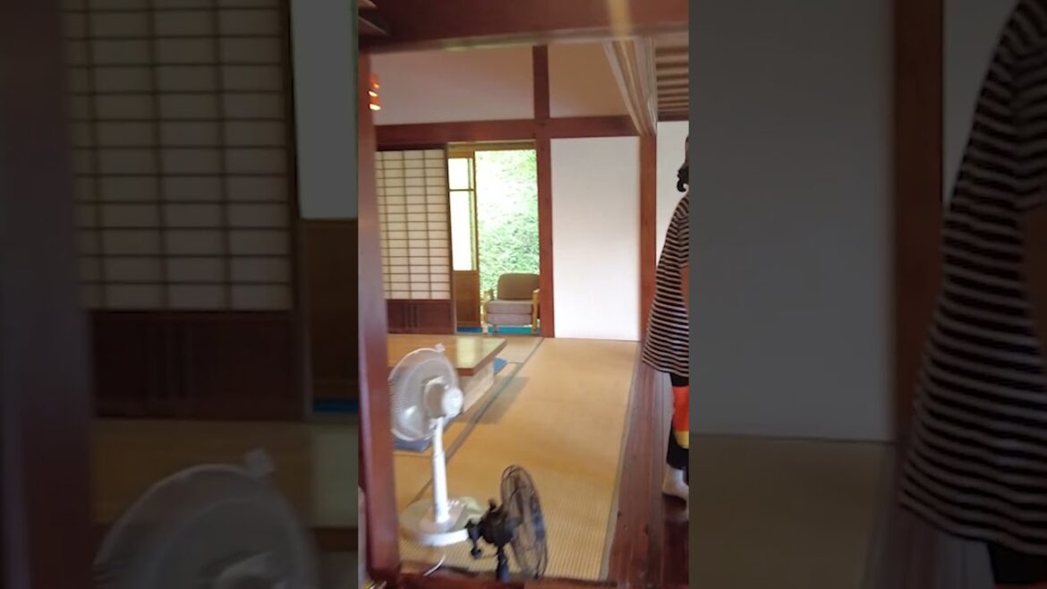 【Cafe13月 小谷村】山奥の古民家で営業するカレーとデザートの名店