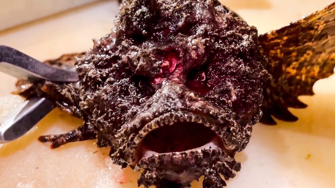 【絶対ここは外せない！】すべて手仕込み料理が大人気！！福岡『磯ぎよし』オコゼ、イサキ、アマダイ/Hakata's best sushi restaurant