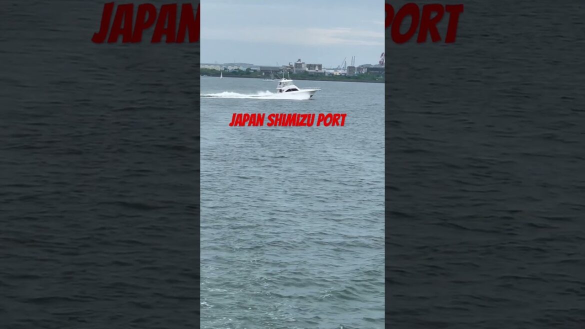 Shimizu Port Japan #shorts#virals#videos