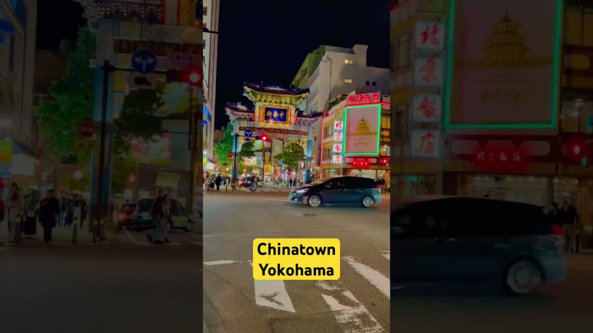 Chinatown Yokohama #shorts #ytshort #ytshortsindia #chinatown