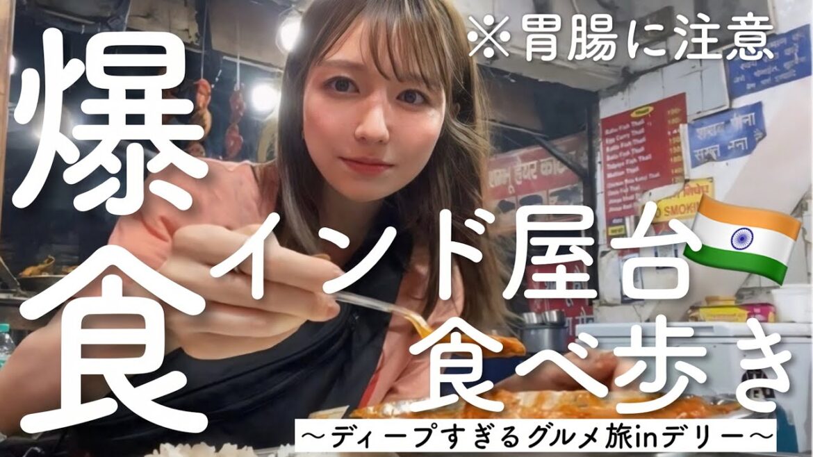 【インド旅】強靭な胃が必須！デリーの屋台を片っ端から食べ歩いてみました🇮🇳②
