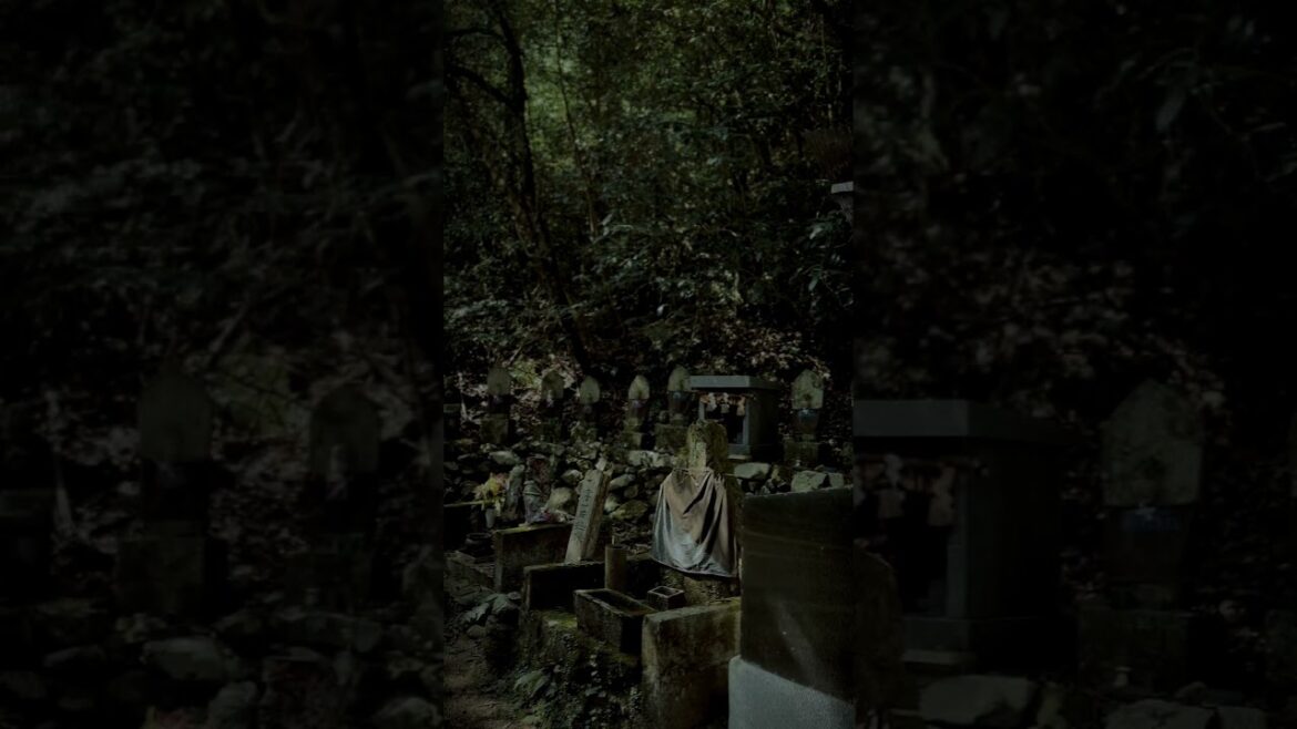 北九州の心霊スポット、菅生の滝に行ってきました　編集終わったらサブチャンネルに投稿します