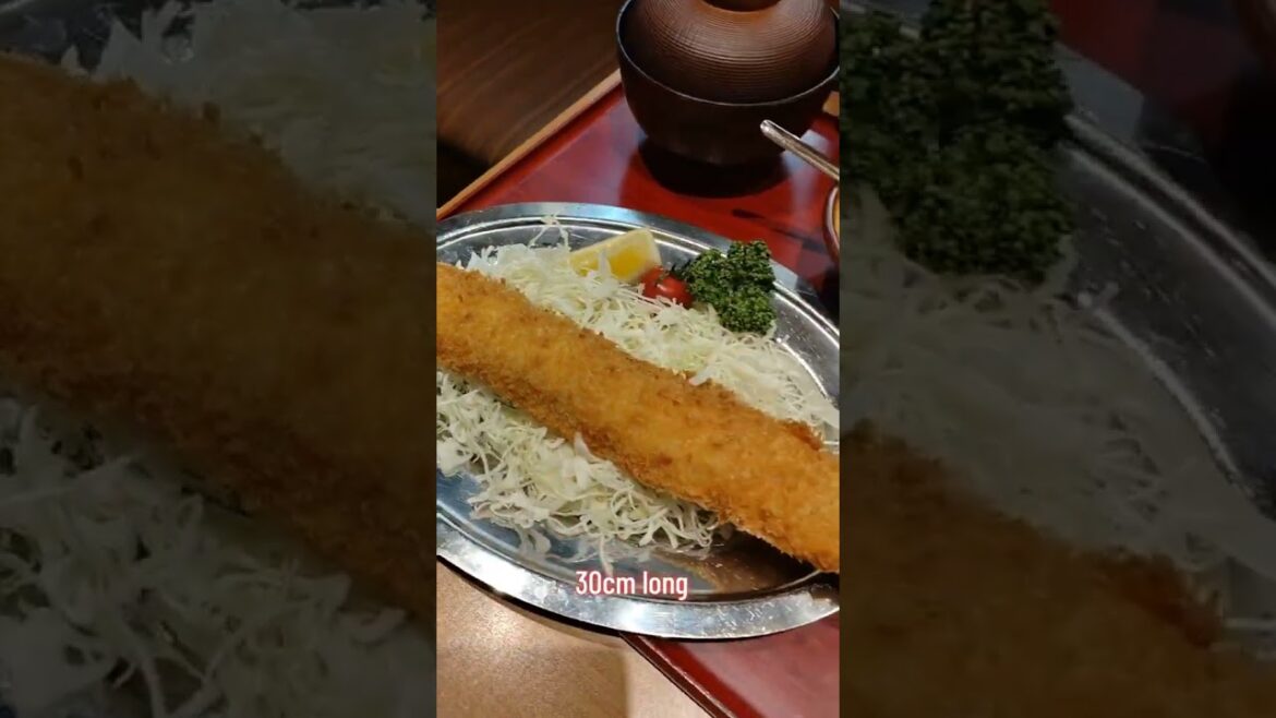 Magnetic fried shrimps near Nagoya Station! #japan #ebi #nagoya #ebidote #travel #food #yummy