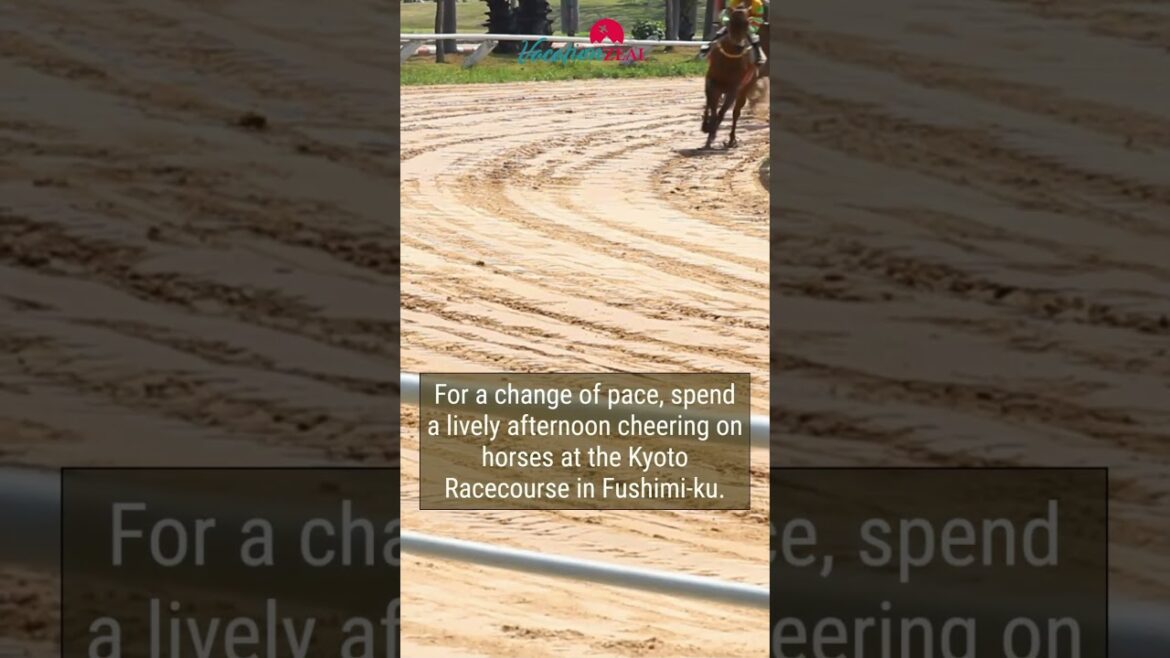 Exotic Things to Do in #Kyoto, Japan Exotic Things to Do in #Kyoto, Japan